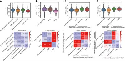 Systematic assessment and optimizing algorithm of tumor mutational burden calculation and their implications in clinical decision-making